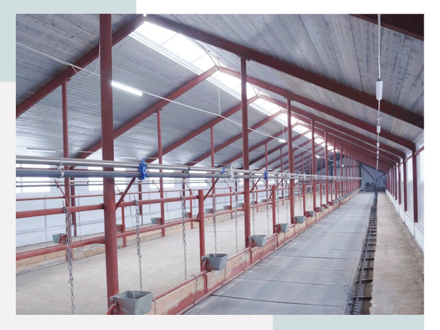 Строительство коровников в Ртищево от 613 руб.