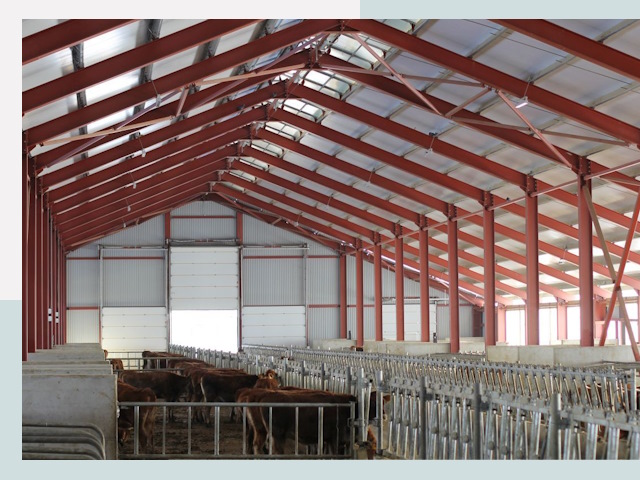 Строительство коровников в Ртищево