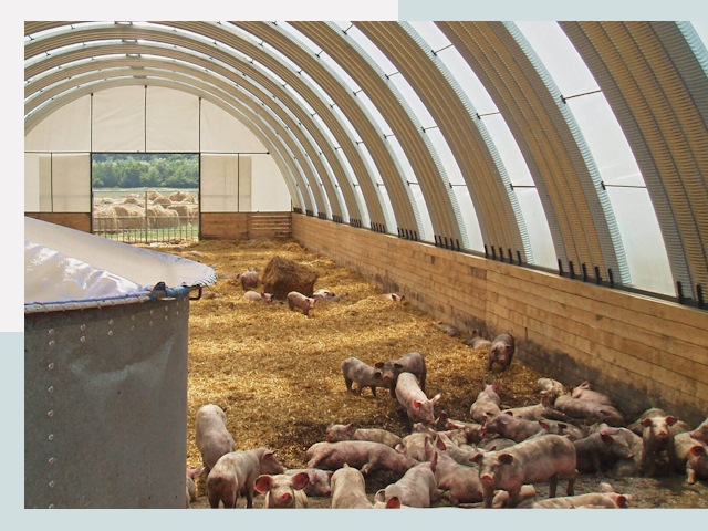 Строительство свинарников в Ртищево