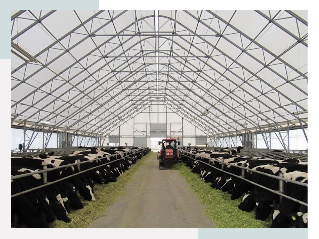 Тентовые коровники в Ртищево от 613 руб. - Надежно и доступно