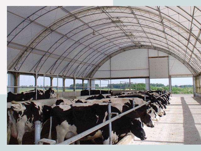 Тентовые коровники в Ртищево